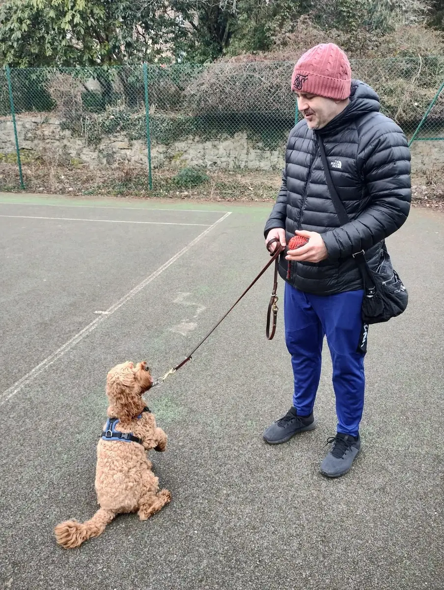 A K9 Solutions one-to-one training session with a small dog